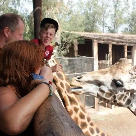 Villa Sunrise- A Restful Getaway *